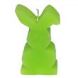 Candle Hare