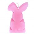 Candle Hare